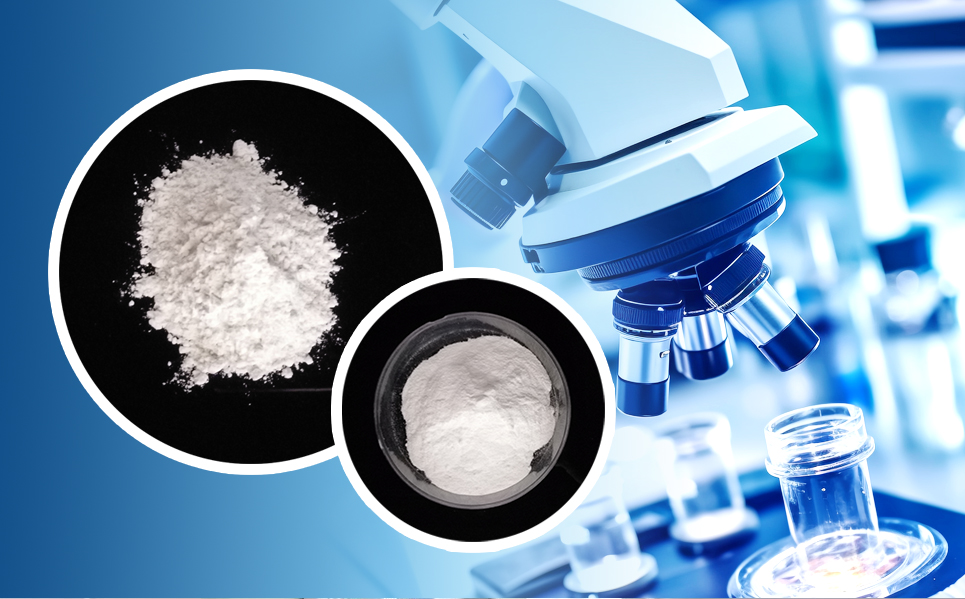 亲友游戏官网中心(中国区)官方下载